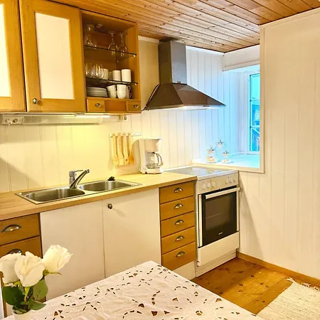 Appartement Vikja-A Cozy Little Apartment Near Lake Jolster And The Mountains *