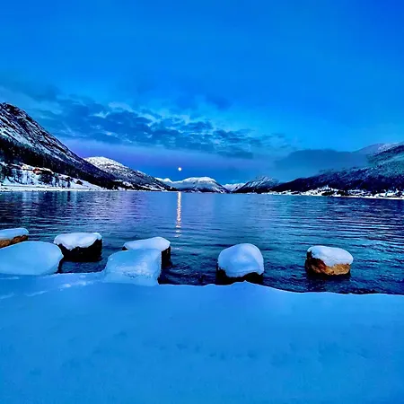 Vikja-A Cozy Little Apartment Near Lake Jolster And The Mountains *
